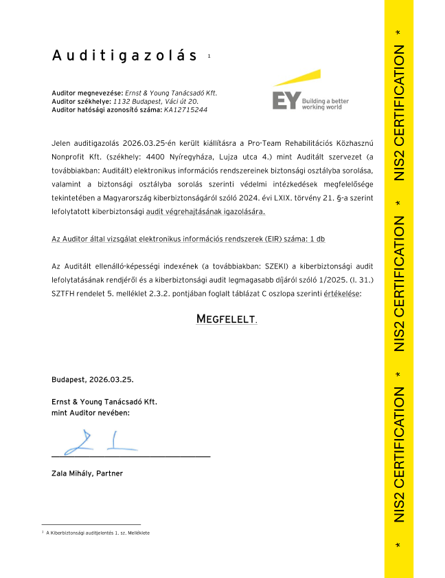 Kiberbiztonsági audit